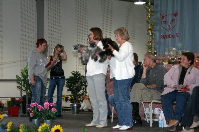 Silverdance litter - Best in Show